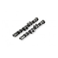 Restricted Rally Camshaft Set (Evo X)