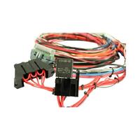 96" flying lead harness for AEM EMS-4