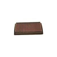 Replacement Air Filter (Rio 00-08)