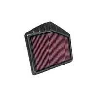 Replacement Air Filter (Genesis w/LHS Airbox 15-16)