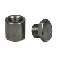 Extended Bung + Plug Kit (Mild Steel) 1 inch