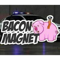 Bacon Magnet Sticker