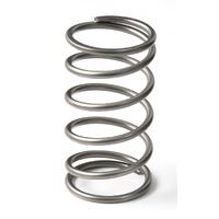 EX50 13psi Outer Spring