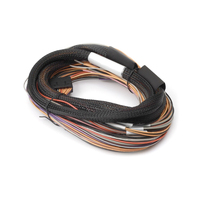 IO 12 Expander Flying Lead Harness 