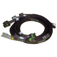 8 x Individual High Output IGN-1A Inductive Coil Harness (Ford V8)