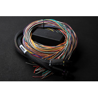Elite 1000 Premium Universal Wire-in Harness