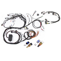 Elite 2000/2500 Terminated Harness With CAS Harness with Series 2 Ignition Type Sub Harness (Nissan RB Twin Cam)