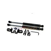Rexpeed Carbon Hood Dampers  for Infiniti G35 IF01