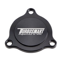 BOV Block-Off/Blanking Plate (Focus RS 2.3L 16+)