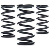 AST Linear Race Springs - 150mm Length x 120 N/mm Rate x 61mm ID - Set of 2