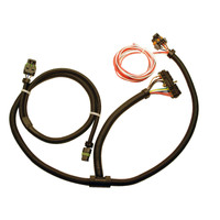 FAST Ign Adapter Harness Buick V6