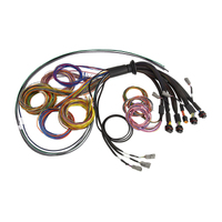 Haltech NEXUS R5 Basic Universal Wire-In Harness
