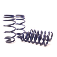 H&R 11-14 Dodge Charger RT (2WD) RT MAX V8 Sport Spring