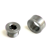 Innovate Bung/Plug Kit (Stainless Steel) 1/2 inch