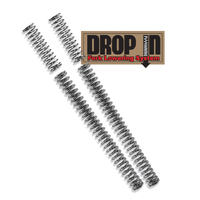 Progressive 10-2001 Drop In Fork Lwrng Kit