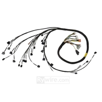 Rywire 02-04 K-Series RWD Mil-Spec Eng Harn w/02-04 Wiring/K-Pro/S2K Tran/K-Ser TB/Int (Adapter Req)